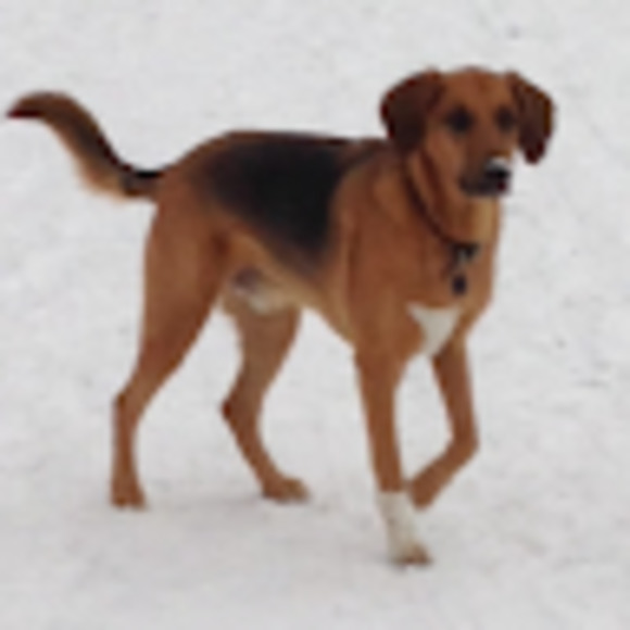 Meet your Posher, Chris - Picture 1 of 1